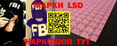 спайс Кингисепп