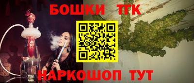 спайс Кингисепп