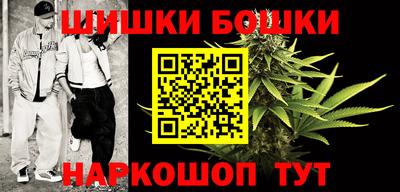 спайс Кингисепп