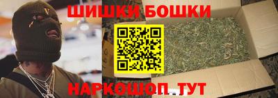 спайс Кингисепп