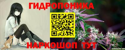 бошки Кинель