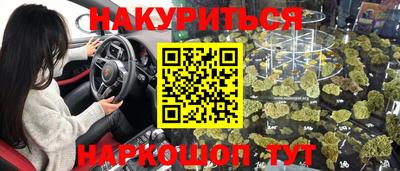 спайс Кингисепп