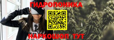 бошки Кимры
