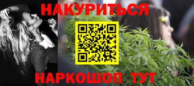 спайс Кингисепп