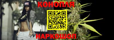 спайс Кингисепп
