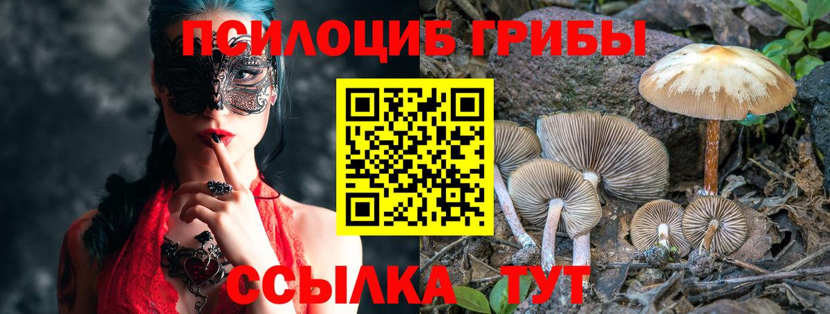 Псилоцибиновые грибы мухоморы  Псилоцибиновые грибы Magic Shrooms  Кимры  Вход с VPN 