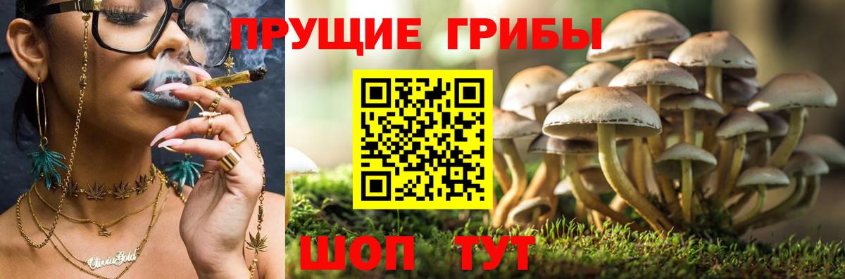 Галлюциногенные грибы мухоморы Кимры