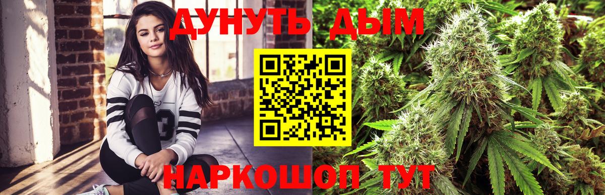 Бошки Шишки Amnesia Кимры